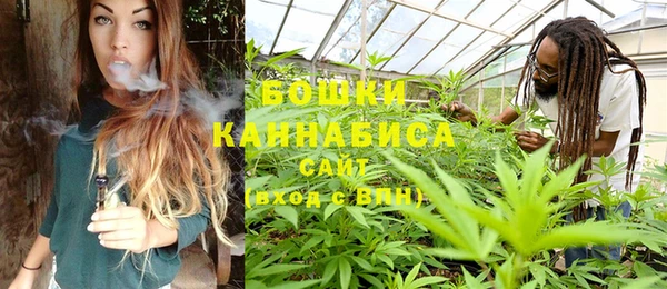 молекула духа Красноперекопск